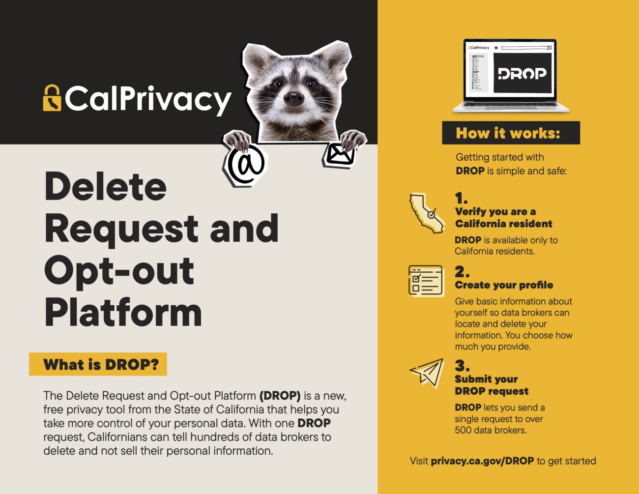 First page of the DROP flyer