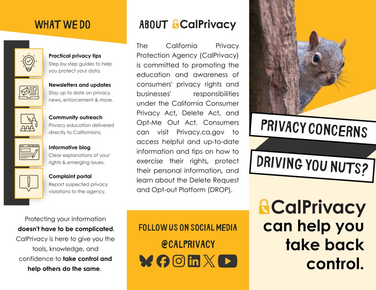 Front of the DROP brochure